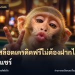 เว็บสล็อตเครดิตฟรีไม่ต้องฝากไม่ต้องแชร์