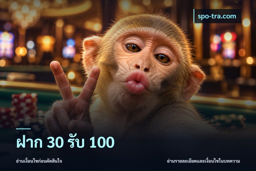 ฝาก 30 รับ 100